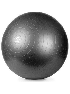 Gimnastikos kamuolys Meteor Fitness Ball 75cm