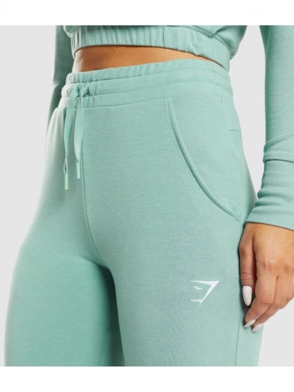 Gymshark kelnės moterims B2A4L ŠVIESIAI ŽALIA 4